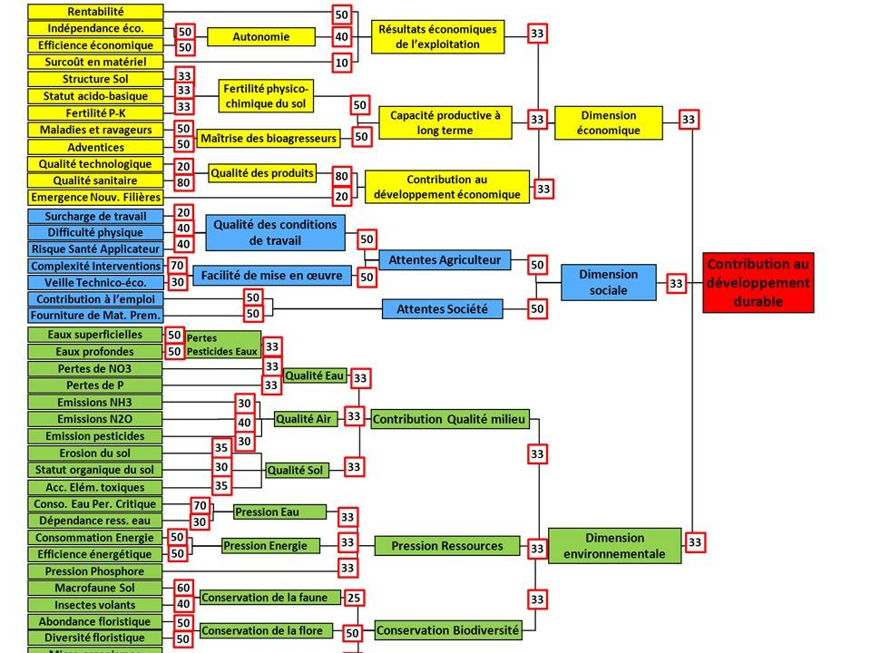 Structure du modèle MASC